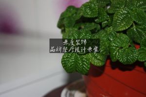 东莞餐厅设计公司