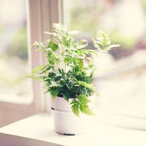东莞餐厅设计公司