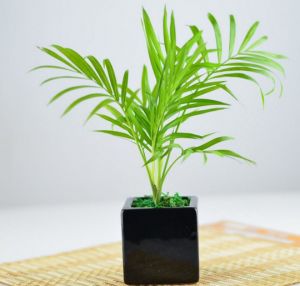 东莞餐厅设计公司
